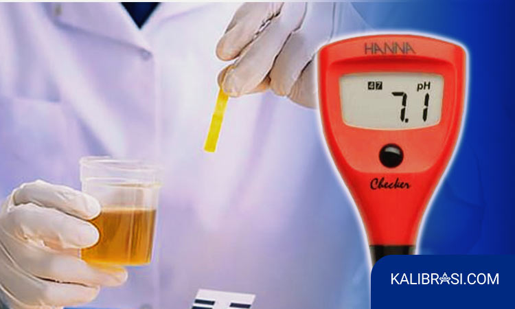 kalibrasi pH checker