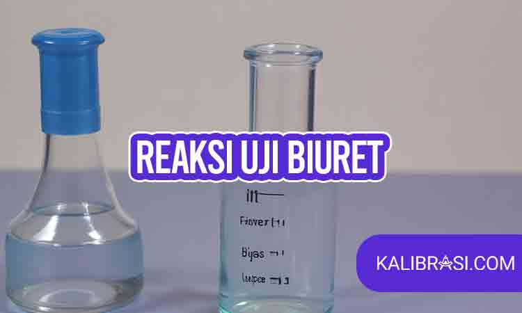 Reaksi Uji Biuret