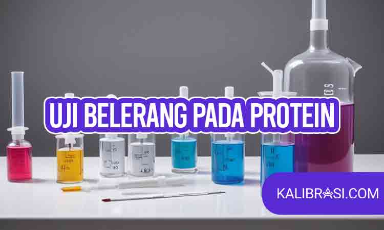 uji belerang pada protein