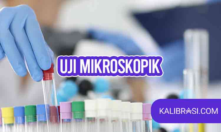 uji mikroskopik
