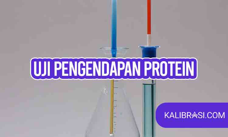 uji pengendapan protein