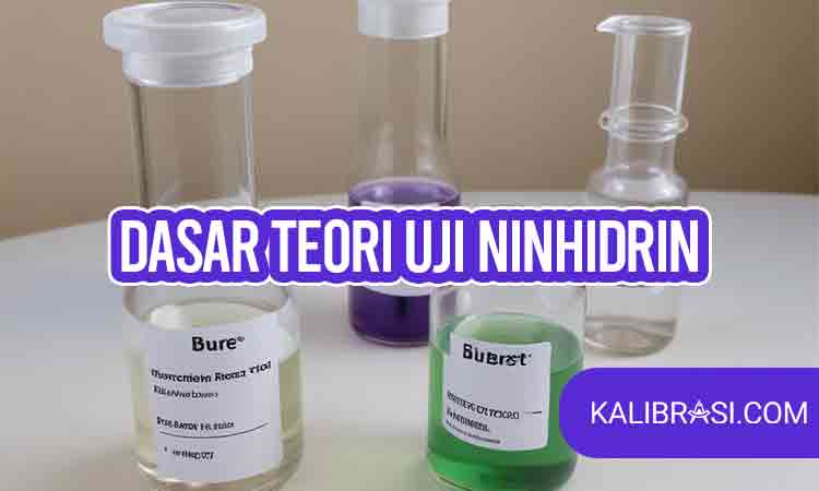 Dasar Teori Uji Ninhidrin