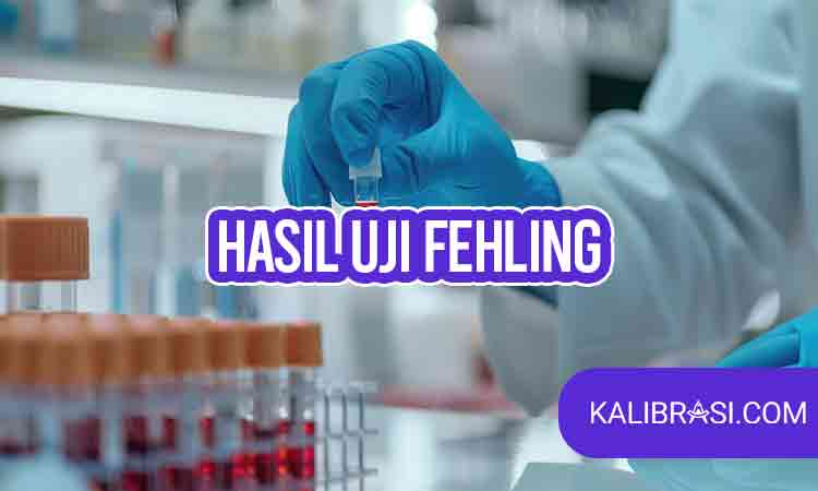 hasil uji fehling