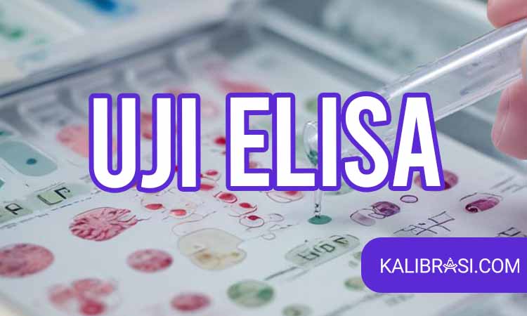 uji elisa
