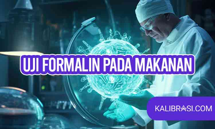 uji formalin pada makanan