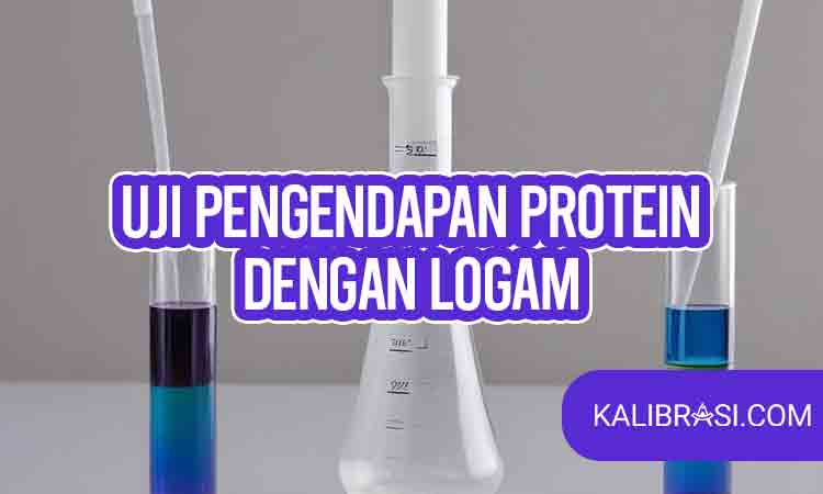Uji Pengendapan Protein dengan logam