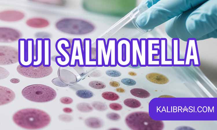 uji salmonella