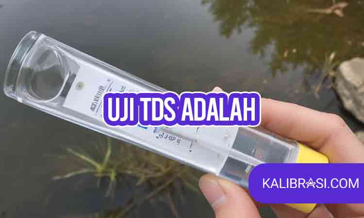 uji tds